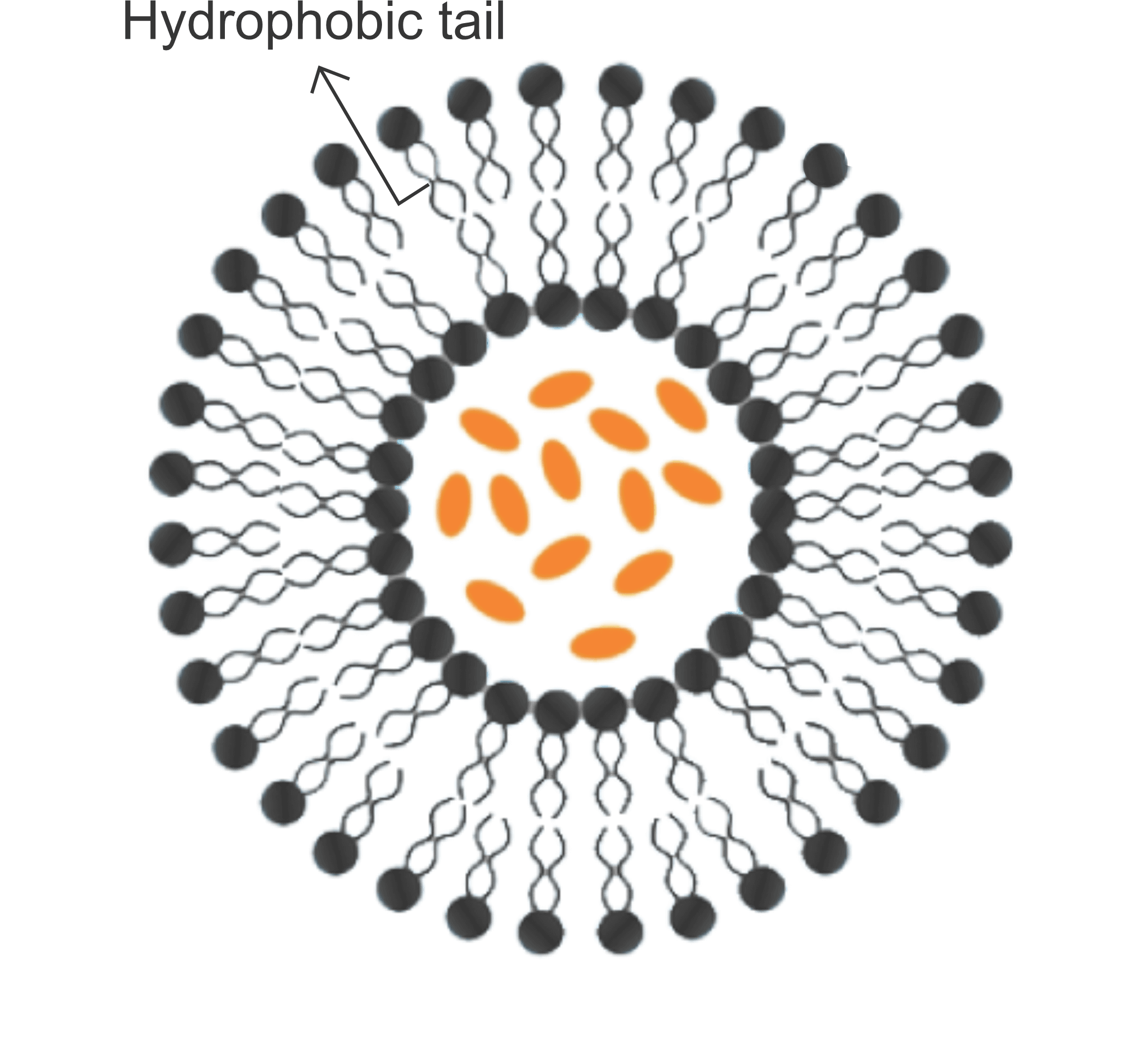 liposomal-manufacturers-liposomal-products-glutathione