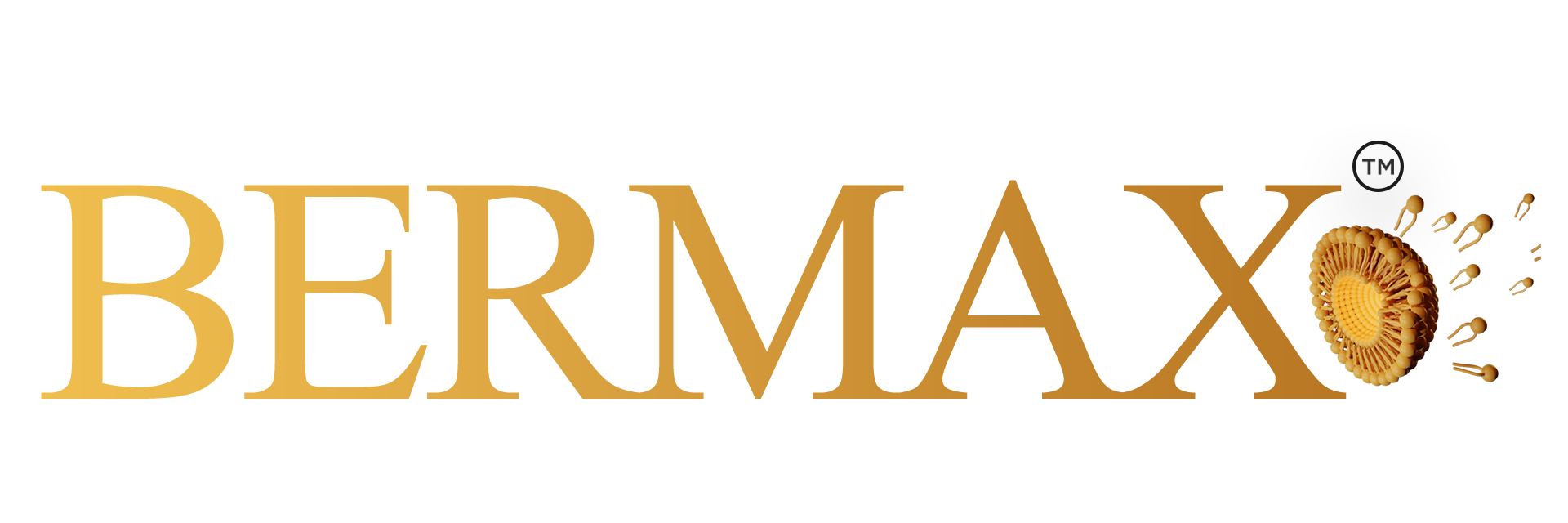 Bermax Logo