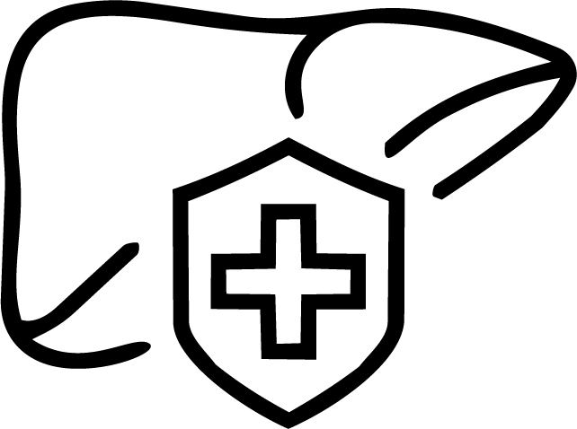 Liver Health Icon