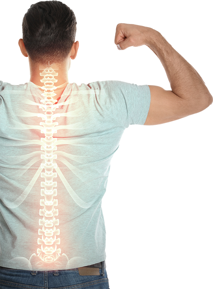Bioavailability Background