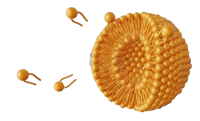 Liposomal Technology