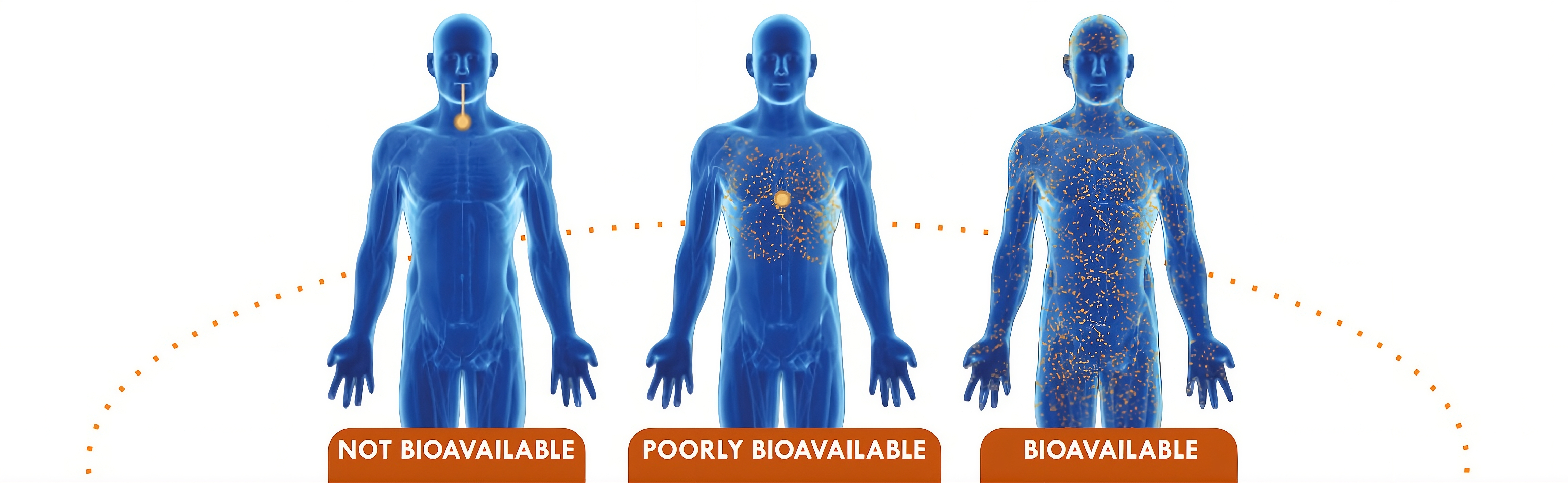 Bioavailability comparison visualization