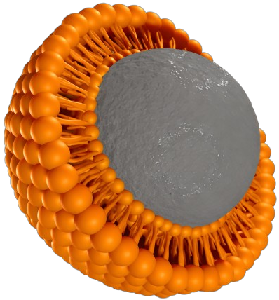 Key Advantages of Liposomes Visualization