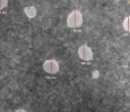 TEM Sample 2