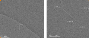 Cryo-EM Sample 1