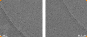 Cryo-EM Sample 2
