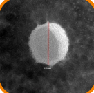 TEM Sample 1