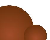 Graphic Bottom