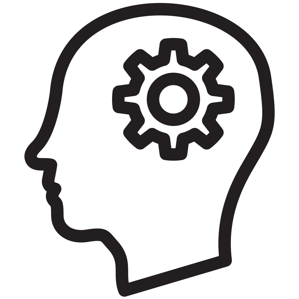 Enhances Cognitive Function