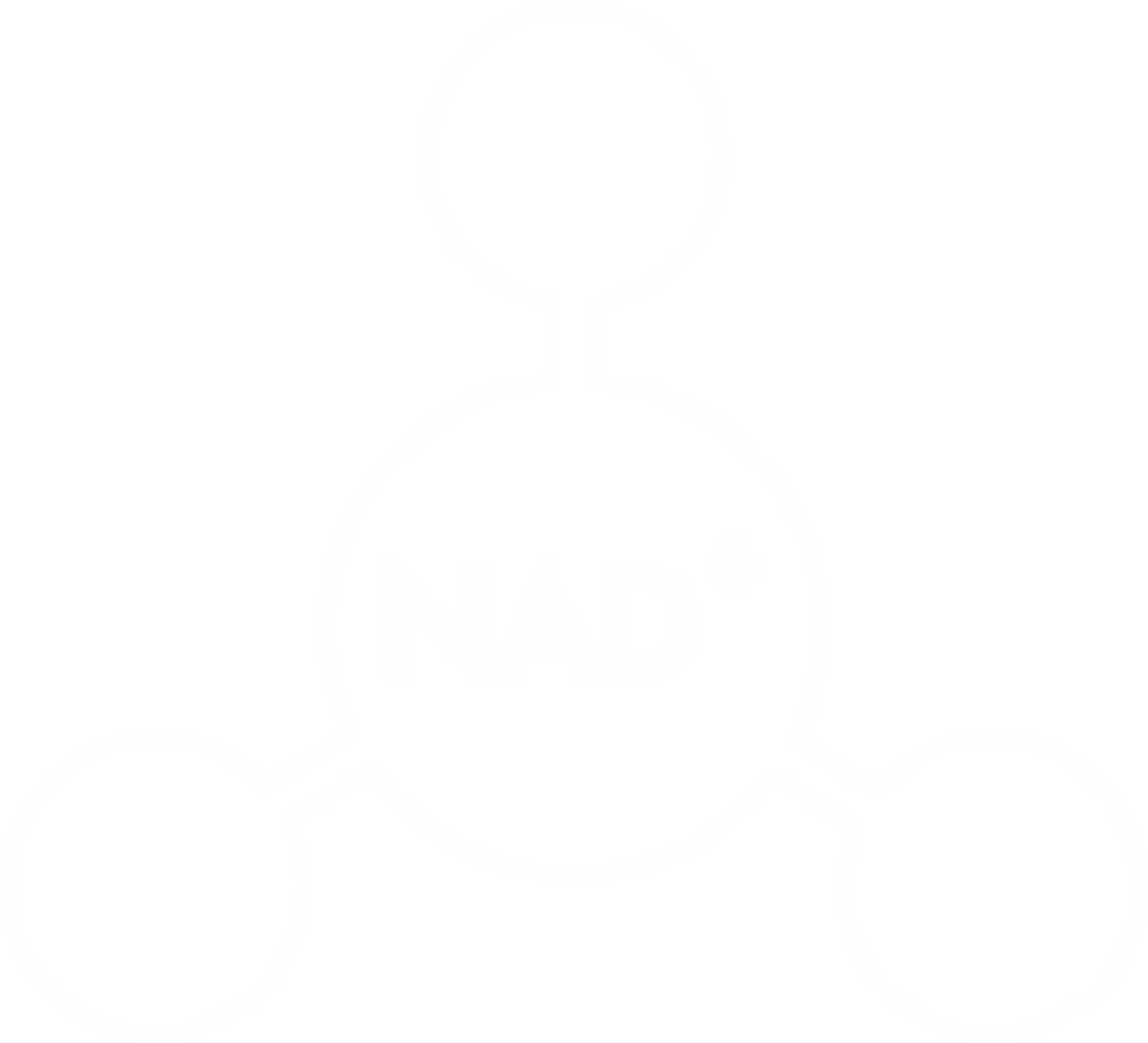 NAD+ Icon