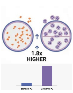 Cellular Uptake Study